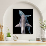 sanndbar sharks print hanging on the wall on black background