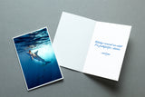 Shark holiday cards